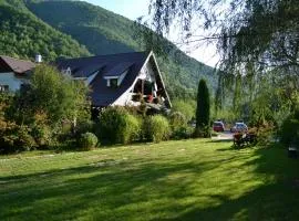 Pensiunea Dumbrăvița