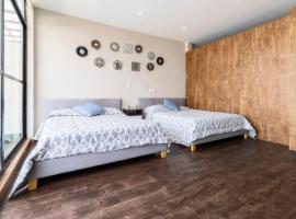 602 Private Terrace apt AC Rooftop, villa in Mexico City