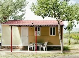 Belvilla by OYO Vakantiepark IsÃ¡bena 7