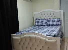El anexos