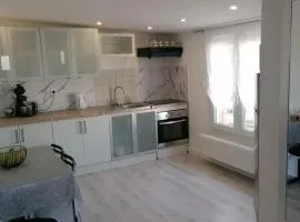 Appt moderne 50m2 avec terrasse
