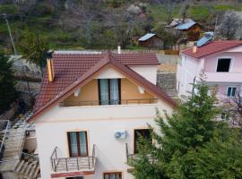 VILA BARDHI-MËMËLISHT, holiday home in Pogradec