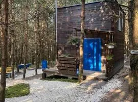 дімаааааавапапіапі