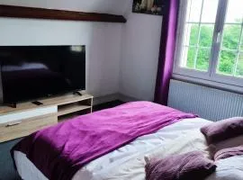 Chambre spacieuse privée avec Jaccuzi