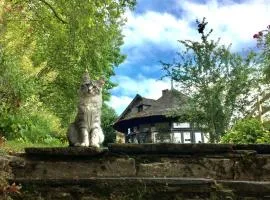 Bed and Breakfast à Rochefort-en-Terre