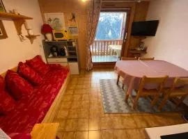 Appartement à 600m du télésiège de Petit-Châtel, Multi Pass offert, animaux acceptés sur demande. - FR-1-693-15