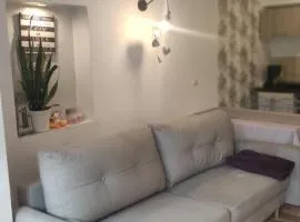 pokój z aneksem z niezależnym wejściem śniadanie w cenie