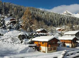 Chalet Rio - Ovronnaz - Swiss Alps, hotel i Chamoson