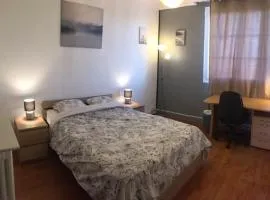 Bel appartement à Dijon 1