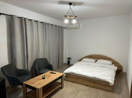 Апартамент Бояна, apartment in Plovdiv