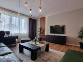 Nico's stylish Apartment, departamento en Satu Mare