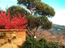 Olivo Bonsai, bed and breakfast en Passignano sul Trasimeno