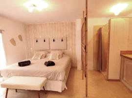 Studio Alpilles avec parking et spa privatif – hotel ze spa w mieście Mas blanc des Alpilles