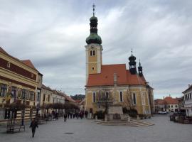 Katalin apartman, ξενοδοχείο σε Koszeg