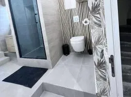 Appartement hyper centre - Coty