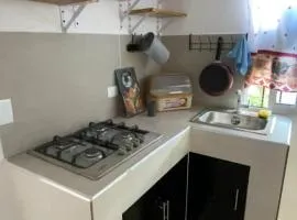 Areca House