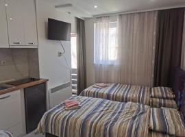 Apartman Aleksandar 2, hotel in Ribarska Banja