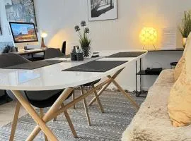 Living at Saarpartments -AdultsOnly- 2 Bedrooms, Kitchen- Business & Holiday Apartments for Long- and Short term Stay, 3 min to Train-Station, Secure E-Bike Parking!