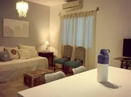 Hermoso departamento de la Ciudad de Mendoza