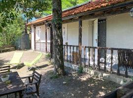 Pet Friendly Home In Dego With Kitchen, villa in Dego