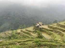 Bikki jungle homestay, hotel di Ha Giang