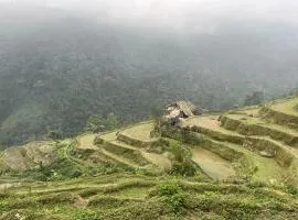Bikki's jungle homestay