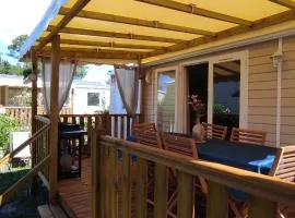 Franck's tiny house Les Viviers、レージュ・キャップ・フェレのタイニーハウス