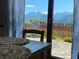 Apartament Zakopane Kościelisko