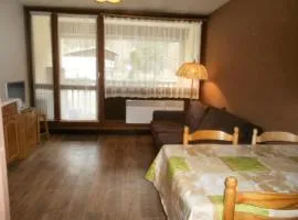 Résidence Aurette Port-bielh - STUDIO AURETTE CENTRE DE St LARY MAE-3374