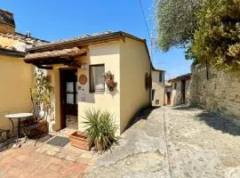 Il Giardino degli Ulivi