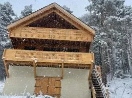 Chalet Station Puyvalador