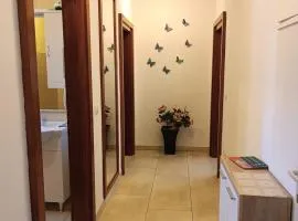 Dubrovnik Apartment Nema
