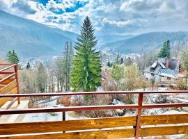 Stone House Sinaia, villa in Sinaia