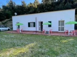 Green residence