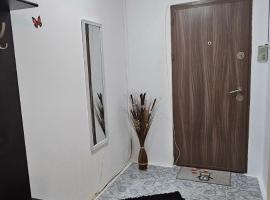 Casa Suzana 2 camere, икономичен хотел в Пятра Нямц