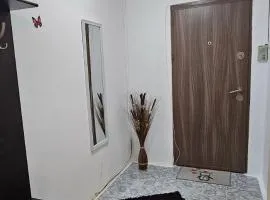 Casa Suzana 2 camere