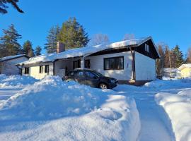 Traditional House Rovaniemi, kotedžas Rovaniemyje