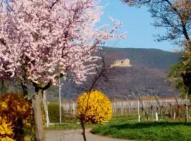 "Unser Juwel" in Maikammer