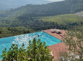 Castello Vicchiomaggio, penginapan di ladang di Greve in Chianti