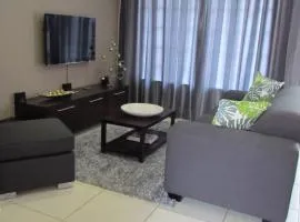 Comfortable Furnished Apartment Wi-fi free Parking