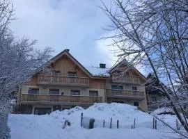 Large private chalet in Vaujany