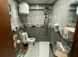 الاسكندرية