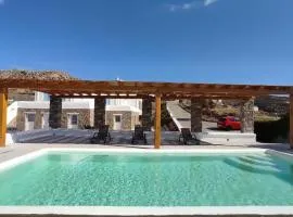 Dual Apts with Pool Ideal for 10 Guests in Mykonos