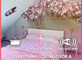 [Rêve Rose] Studio Équipé, Wifi, Vue