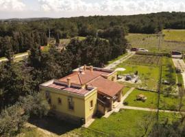 Pelazzi Çiftliği - Farm House, cabaña o casa de campo en Bozcaada