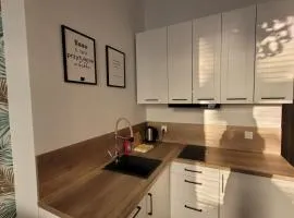 APARTAMENT JARACZA 28/12
