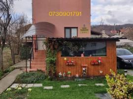 Casa Fabrizio, hostal o pensión en Călimăneşti