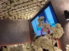 DeLuxe Jacuzzi & Baldaquin Studio