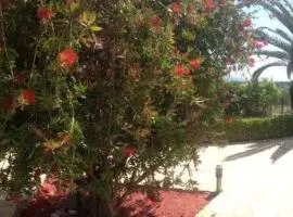 Studio-Appartement in Magoula mit Grill und Garten
