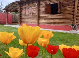 투누얀에 위치한 호텔 Cabaña de montaña VALLE DE UCO Manzano Histórico